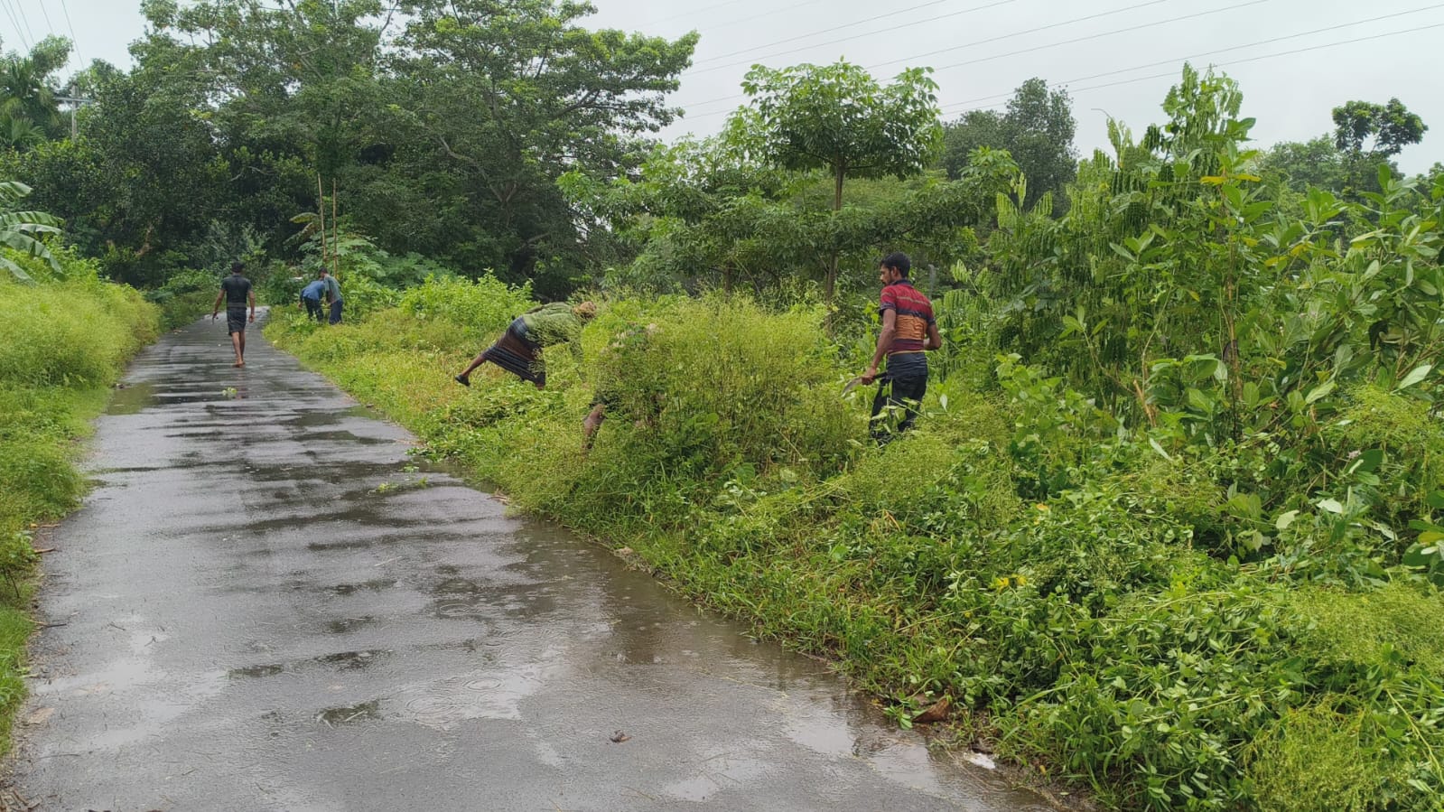 Volunteers clearing roadside land for tree planting