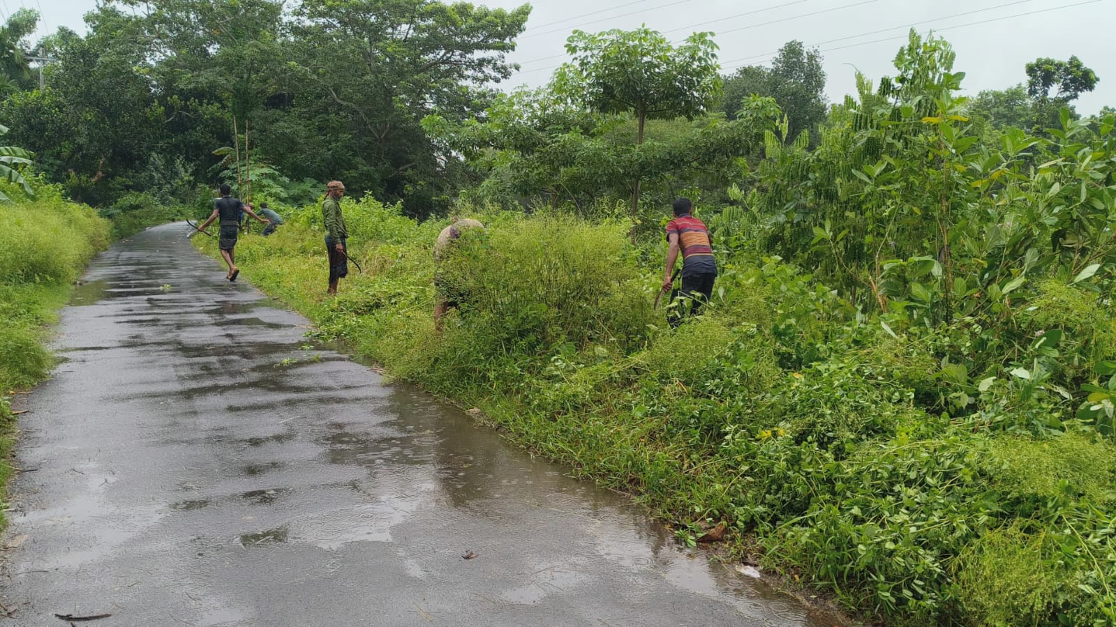 Volunteers working along the village road