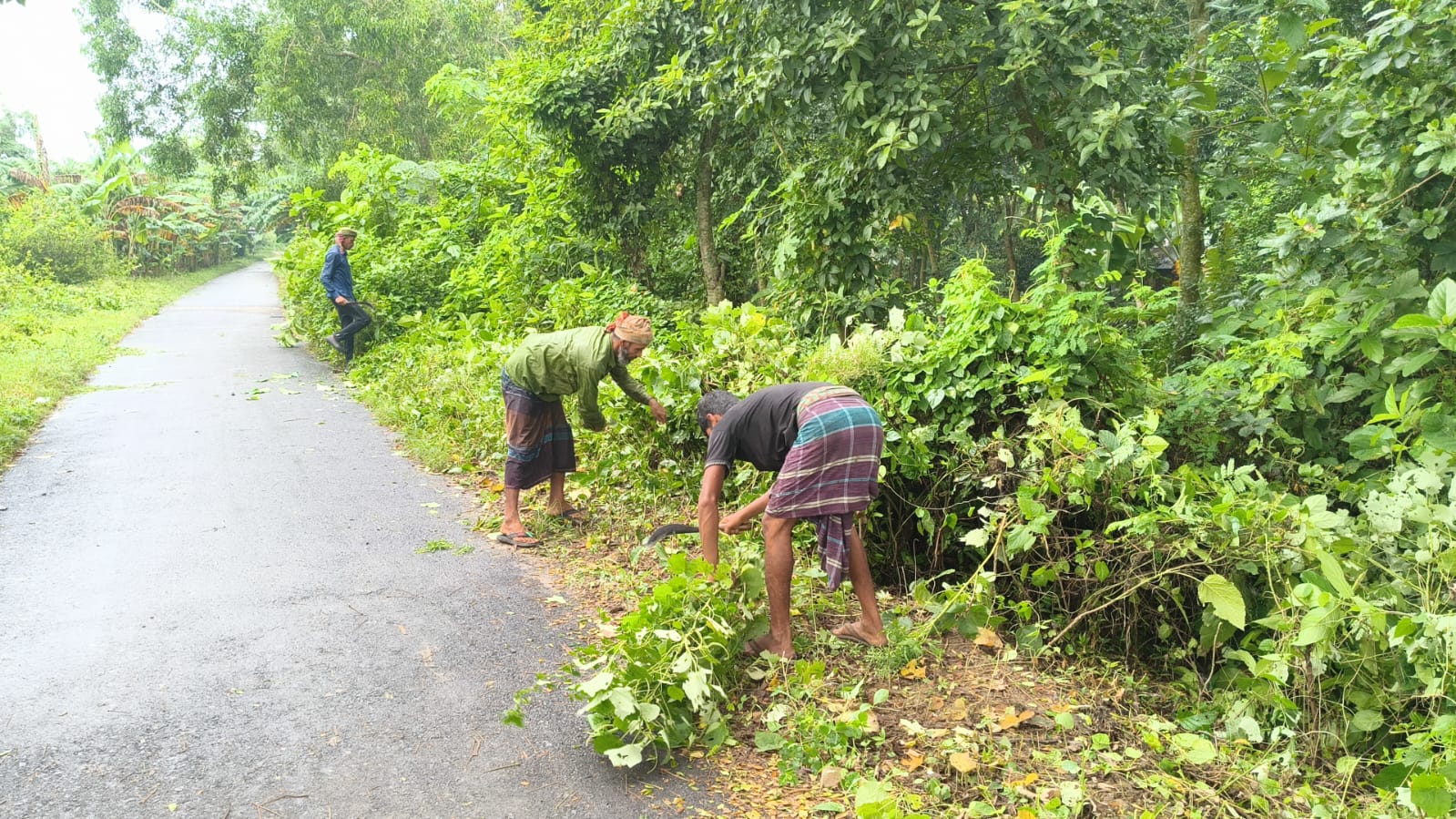 Community members clearing land together