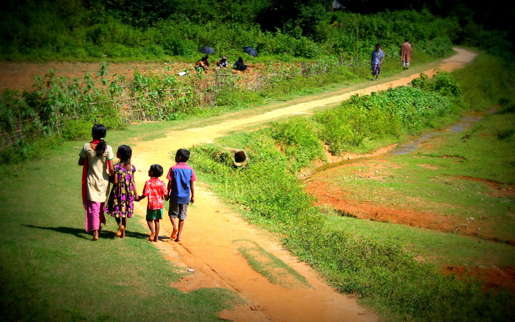 Children walking together in rural Bangladesh