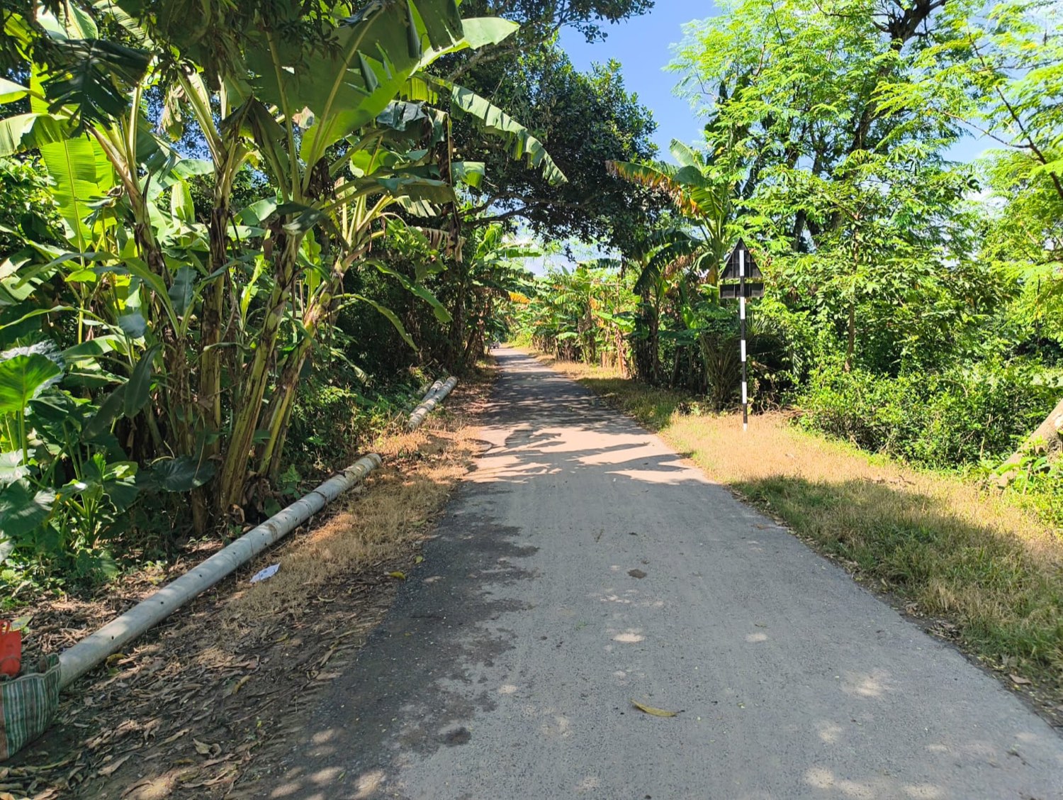 A village road in Berbari after the verges were cleared