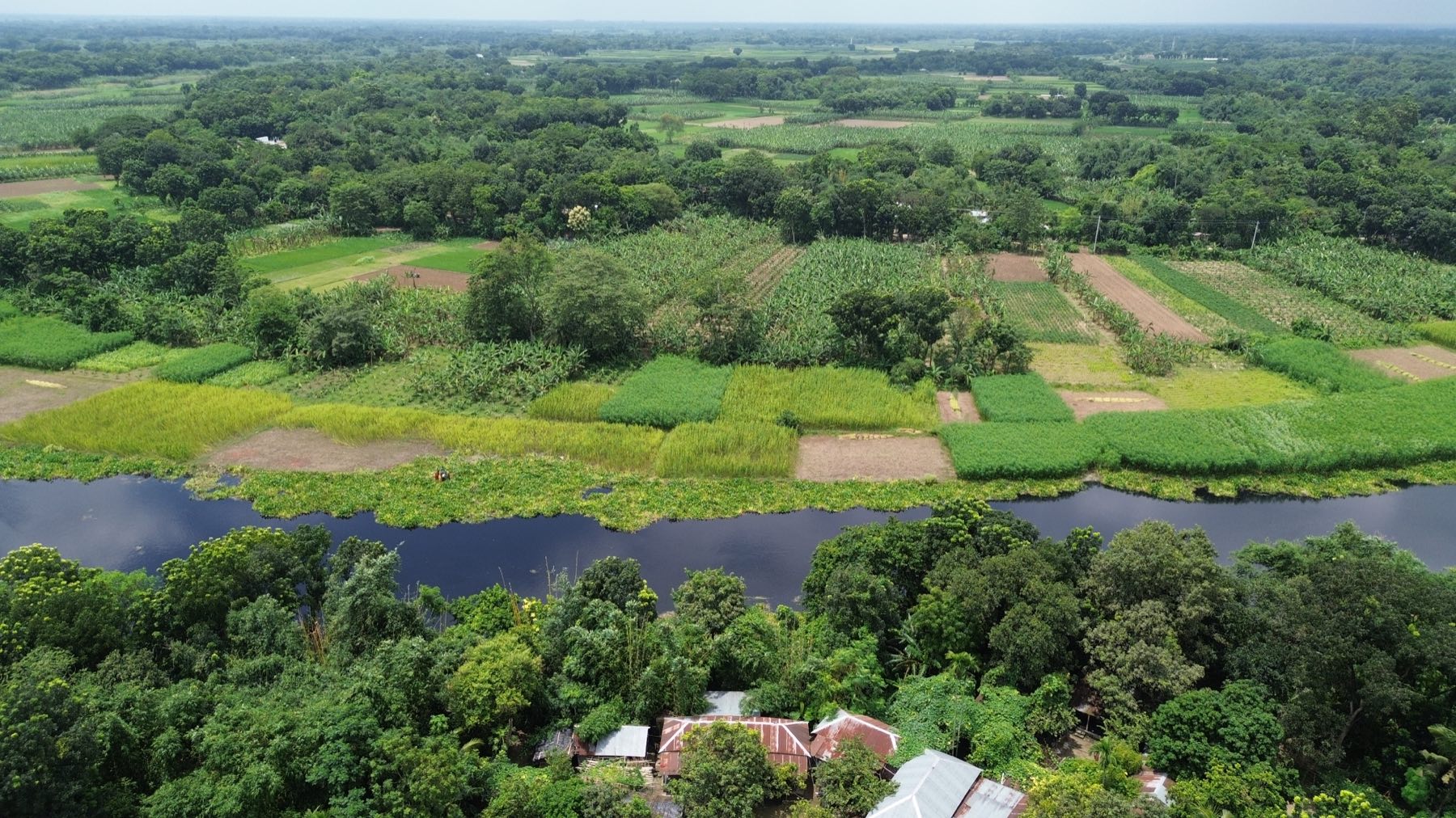 Aerial view of farmland strips along the riverbank in Berbari