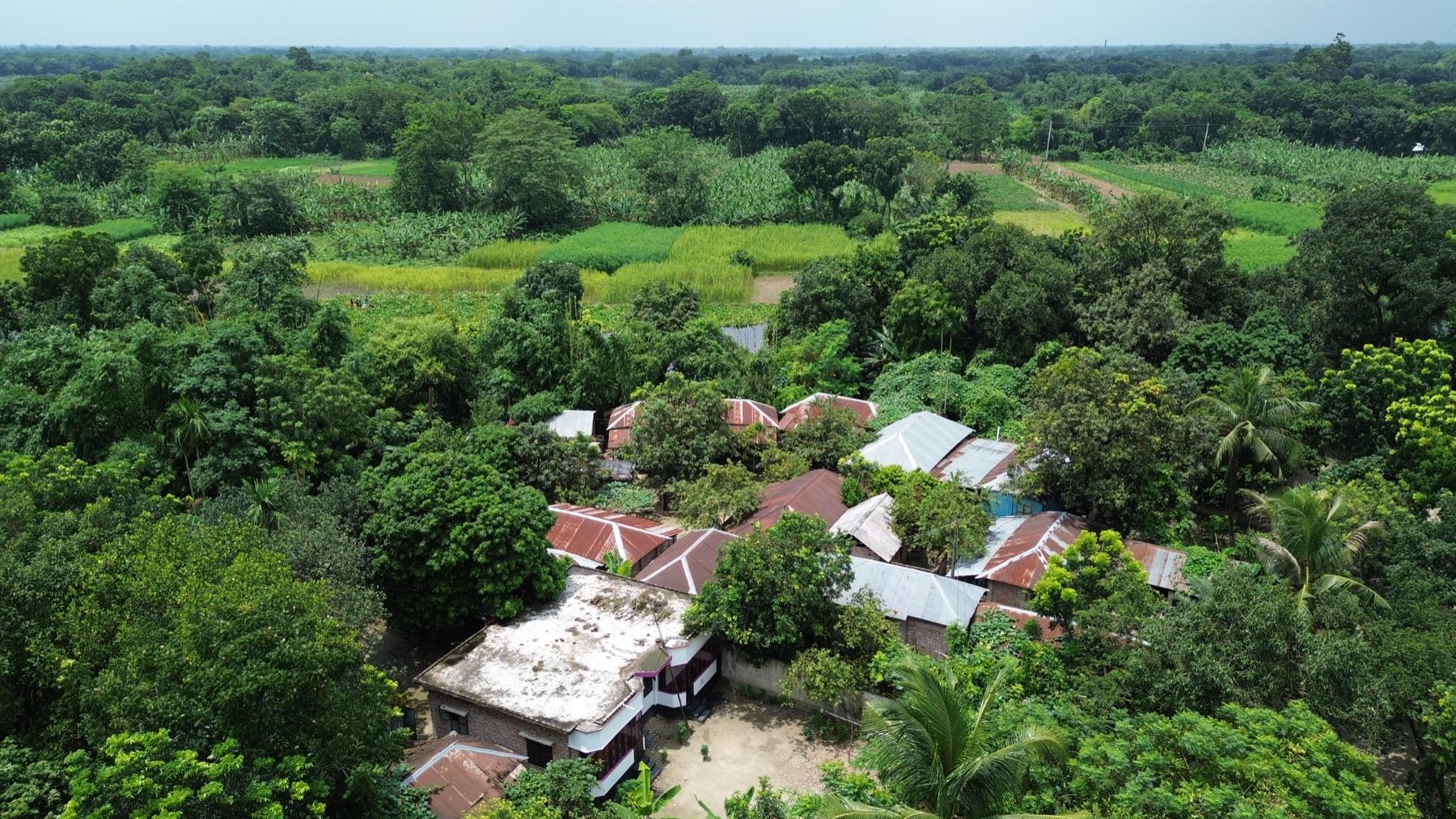 Aerial view of a cluster of tin-roofed homesteads surrounded by trees