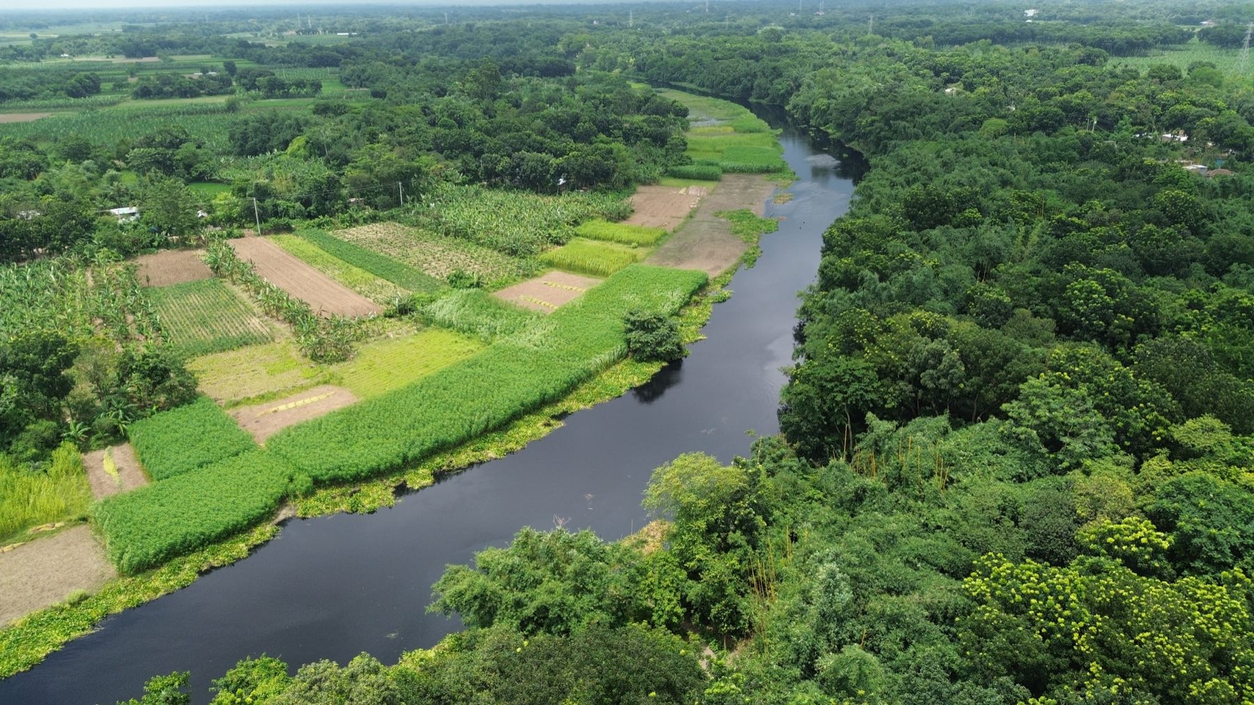 Aerial view of the river bending through green farmland