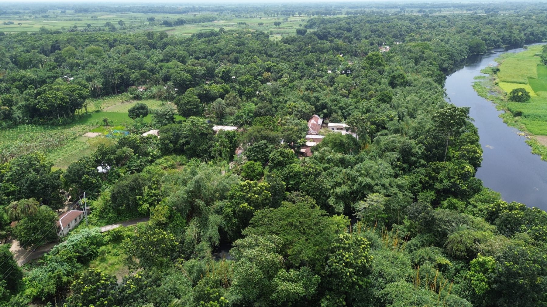 Aerial view of village houses beside the water