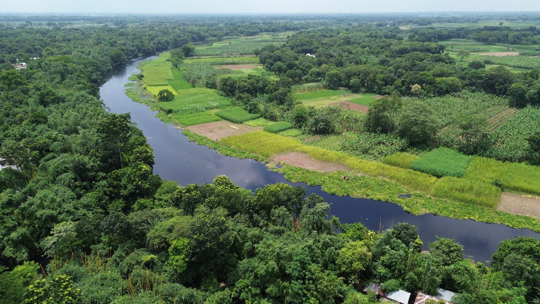 Aerial view of green crop fields stretching to the horizon